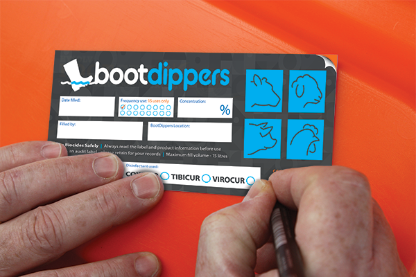 Bootdippers